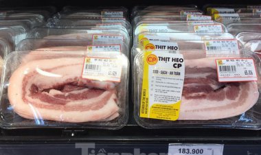 Giá lợn hơi giảm kỷ lục, vì sao người dân vẫn mua đắt?