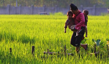 Quỹ Hỗ trợ phụ nữ miền núi phát triển huyện Mai Sơn