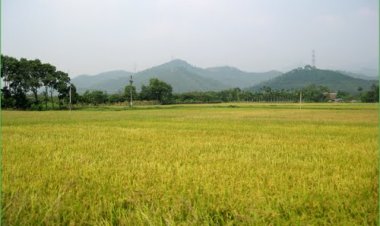 Đông Triều: Mỗi cán bộ kỹ thuật quản lý 356 thành viên, 419 triệu đồng tiền tiết kiệm và 755,5 triệu đồng vốn vay