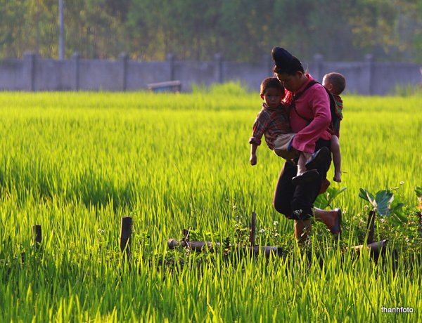 Quỹ Hỗ trợ phụ nữ miền núi phát triển huyện Mai Sơn